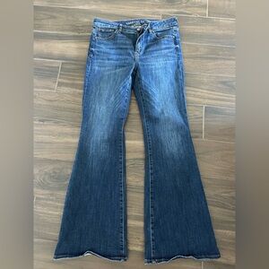 American Eagle Outfitters 10 Regular Low Rise Flare Jeans
